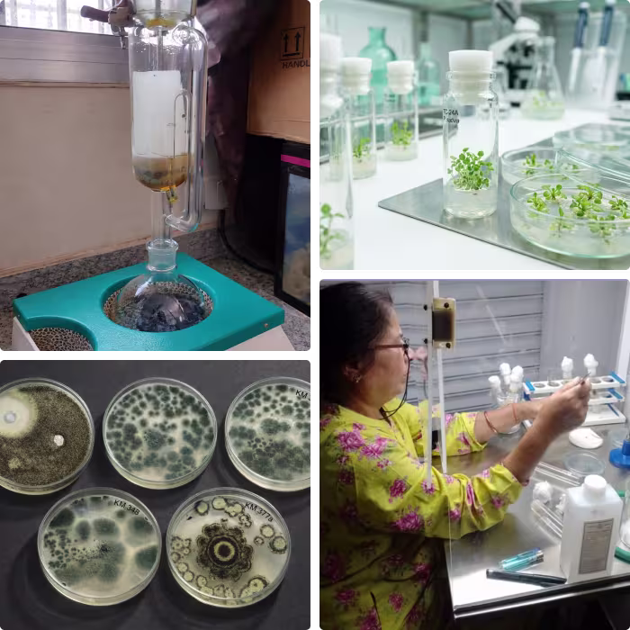 Institutional research laboratory visual