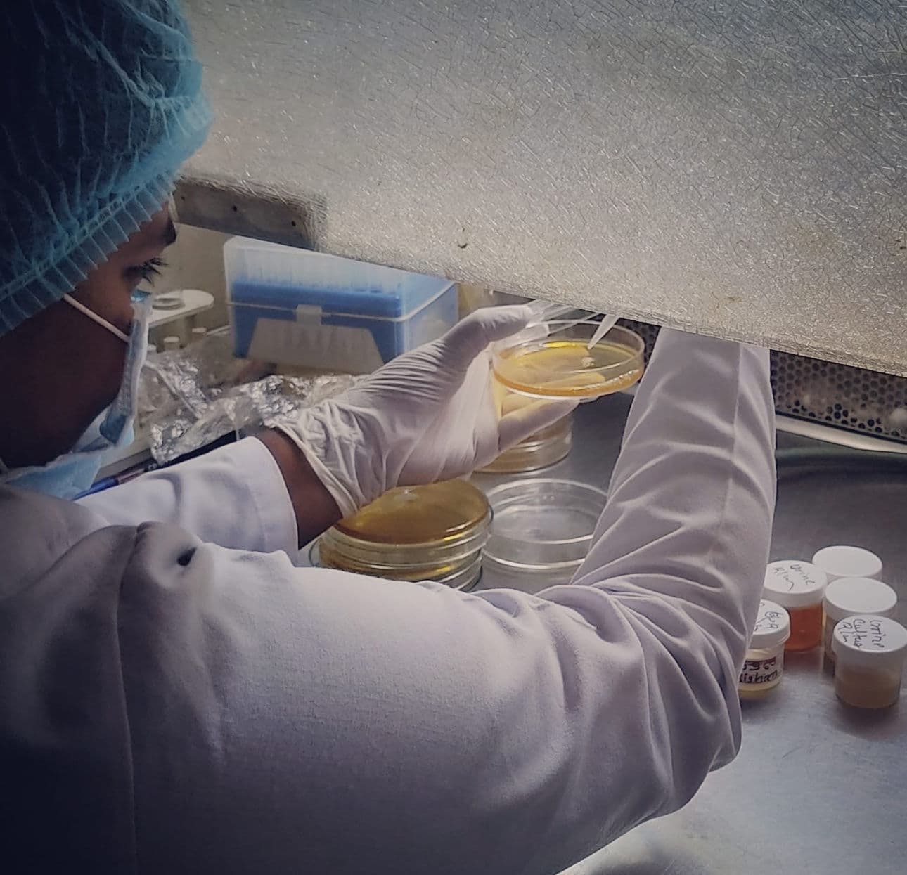 Researcher carefully handling sterile lab equipment
