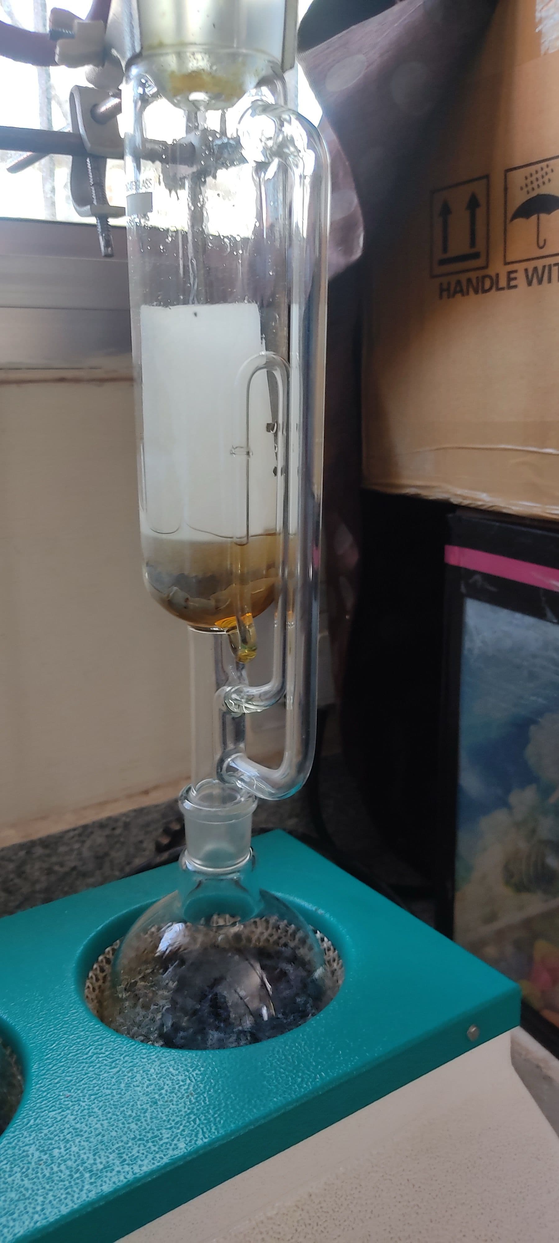 Separation of plant pigments via solvent extraction