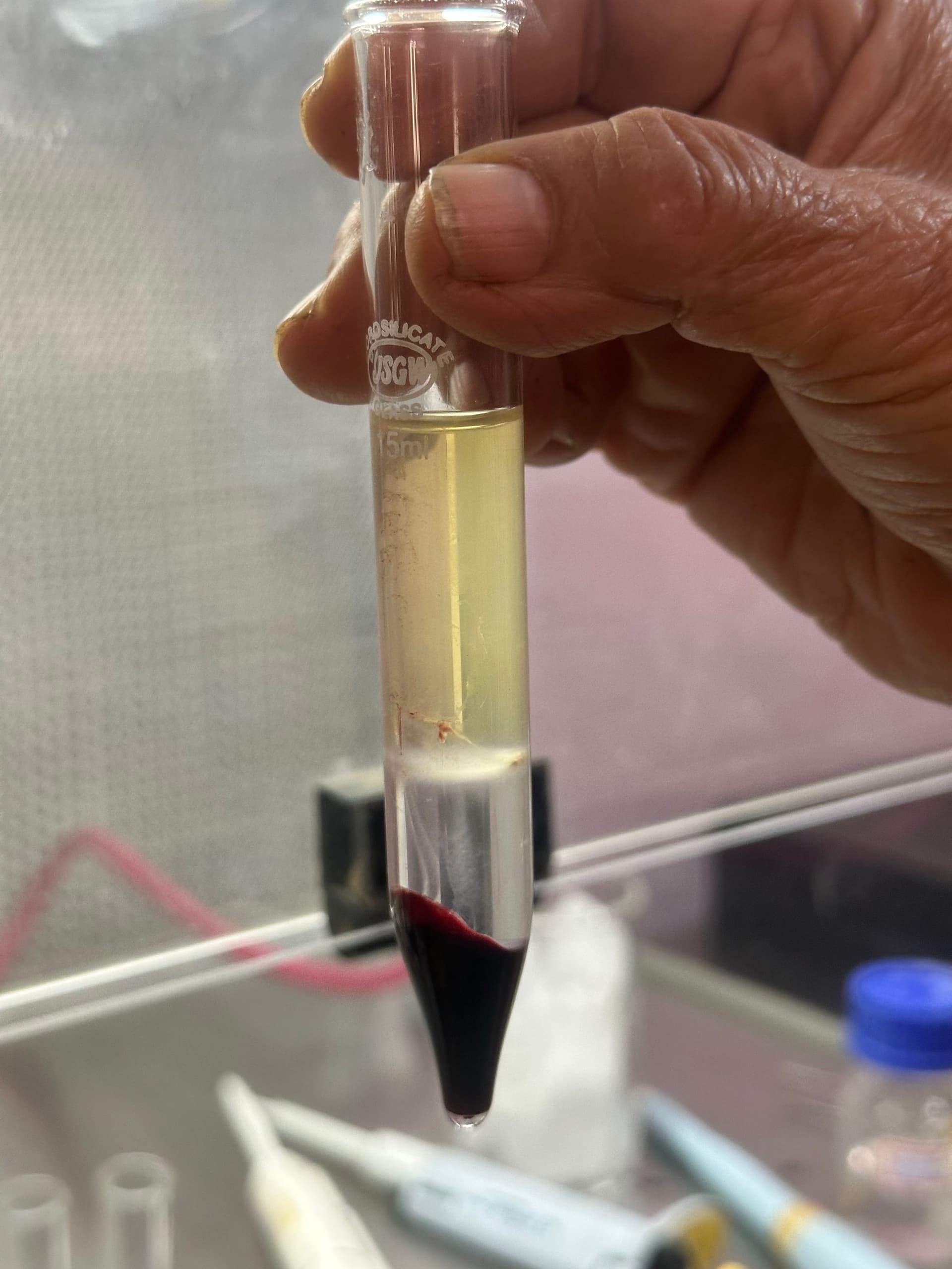Micro-centrifuge tube with a distinct pellet in a lab environment