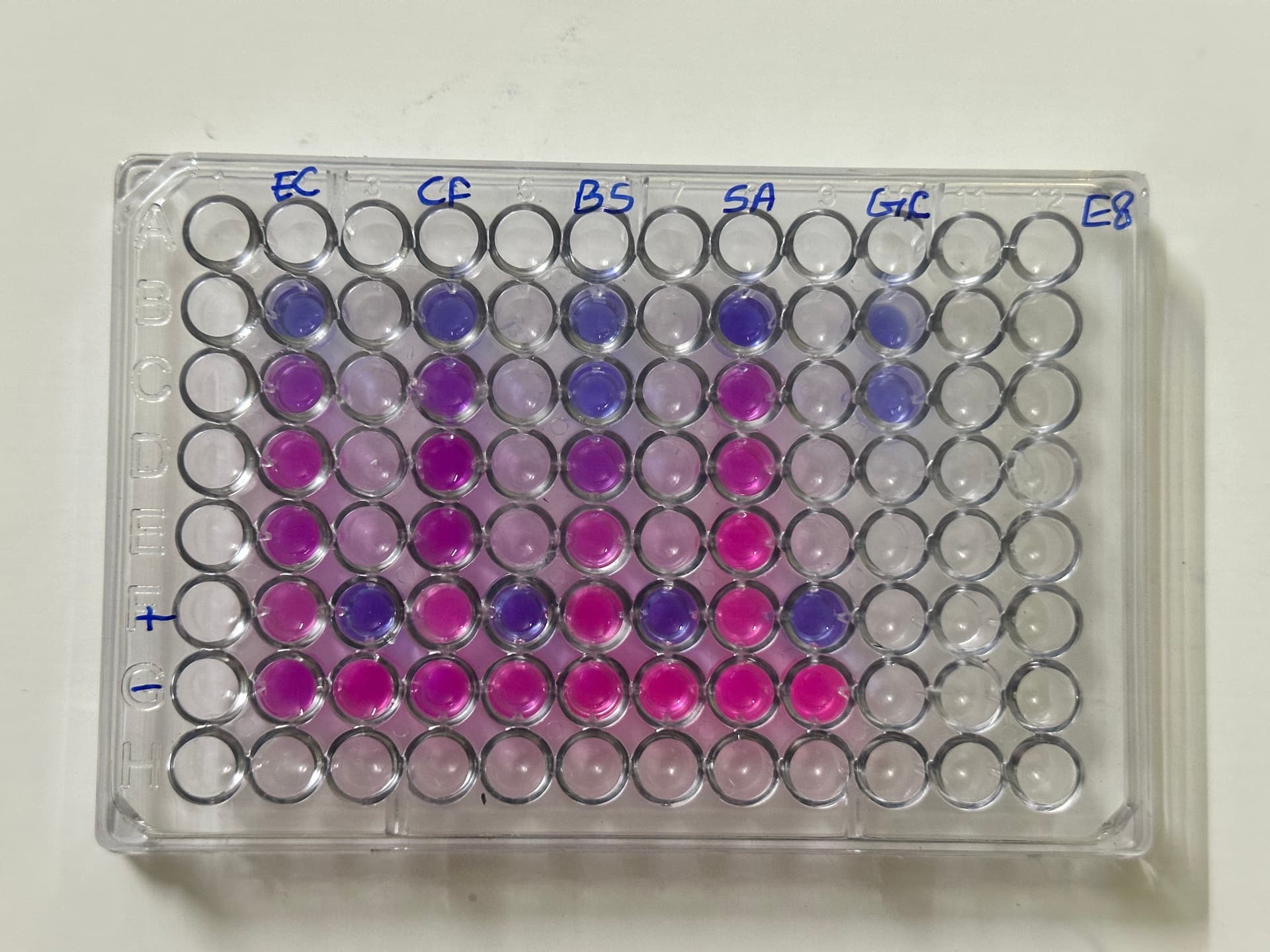 Multi-well plate used for high-throughput laboratory screening