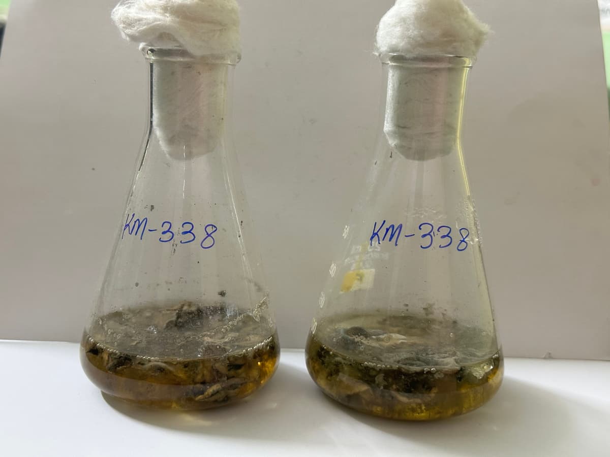 Comparative analysis of scientific cultures in a lab