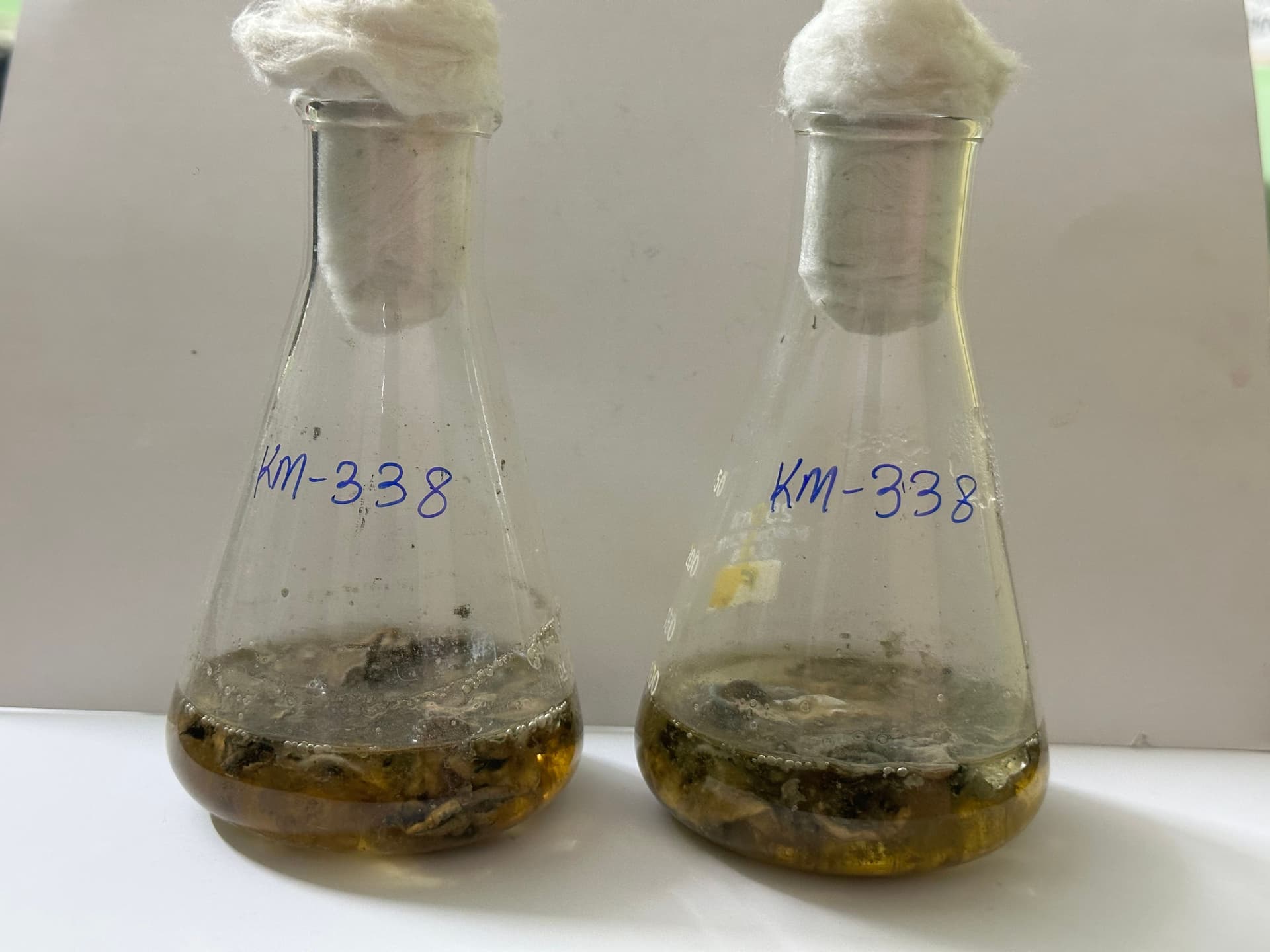 Comparative analysis of scientific cultures in a lab