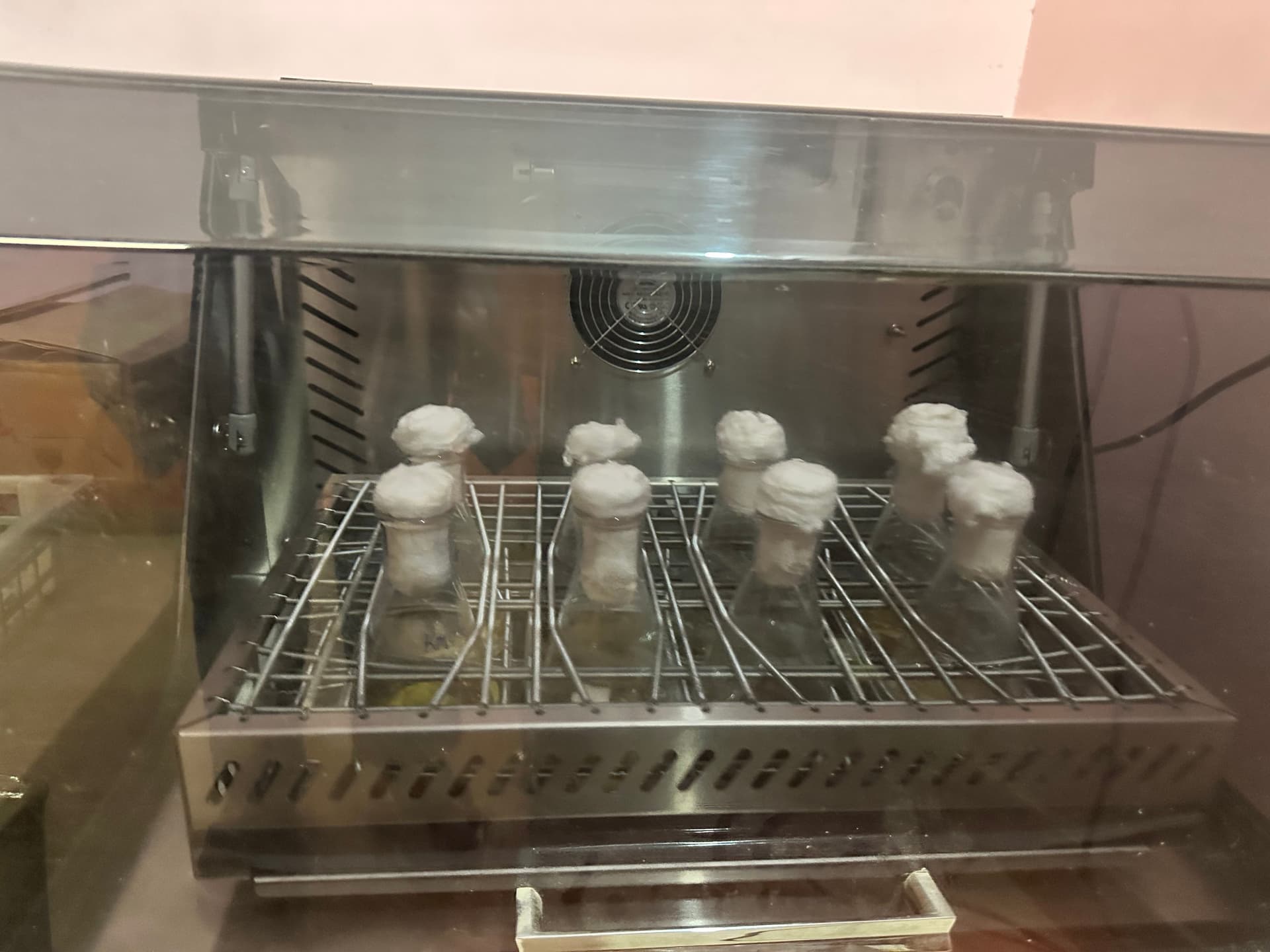 Multiple plant cultures undergoing controlled incubation