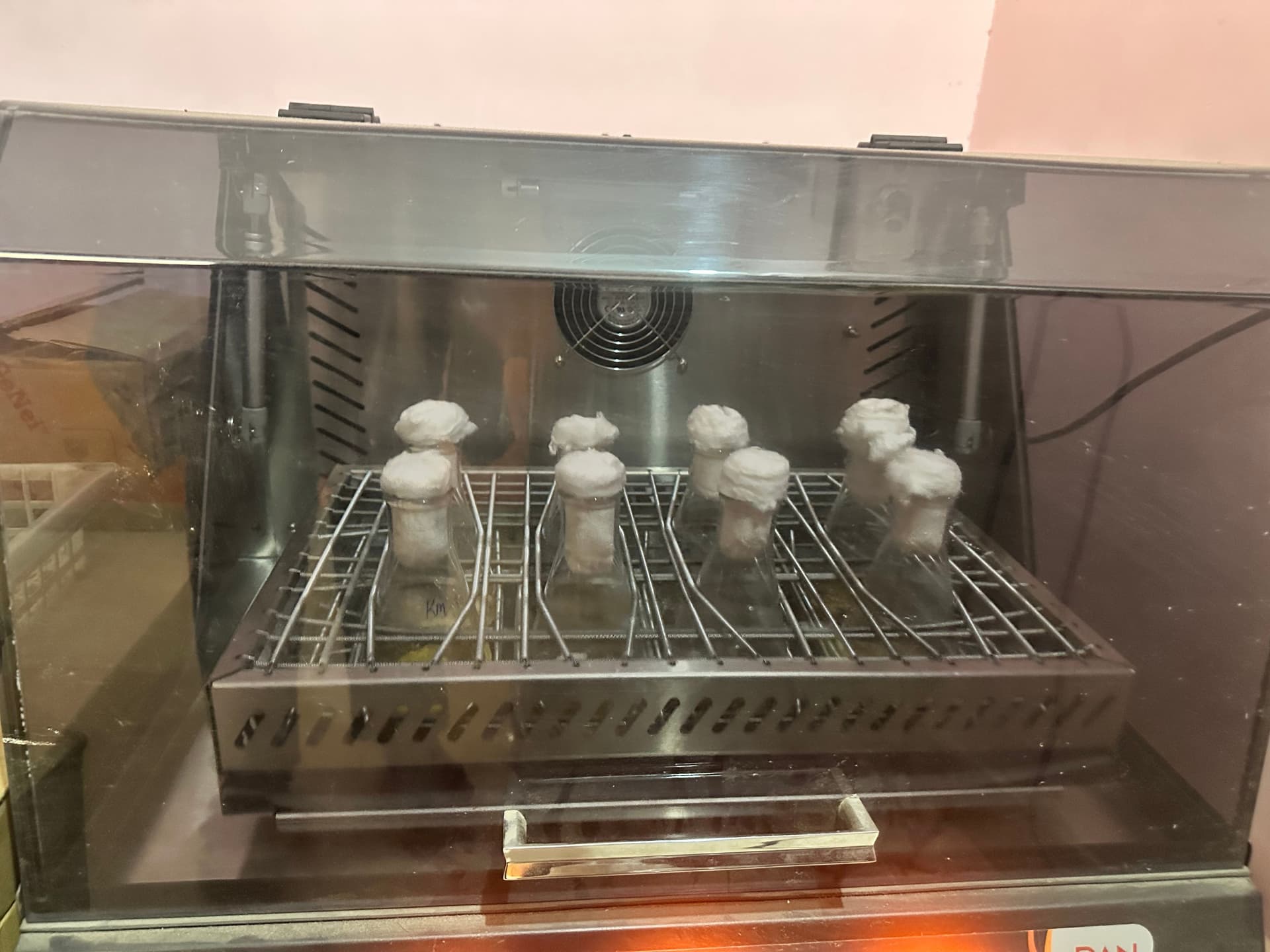 Incubation chamber containing multiple plant tissue cultures