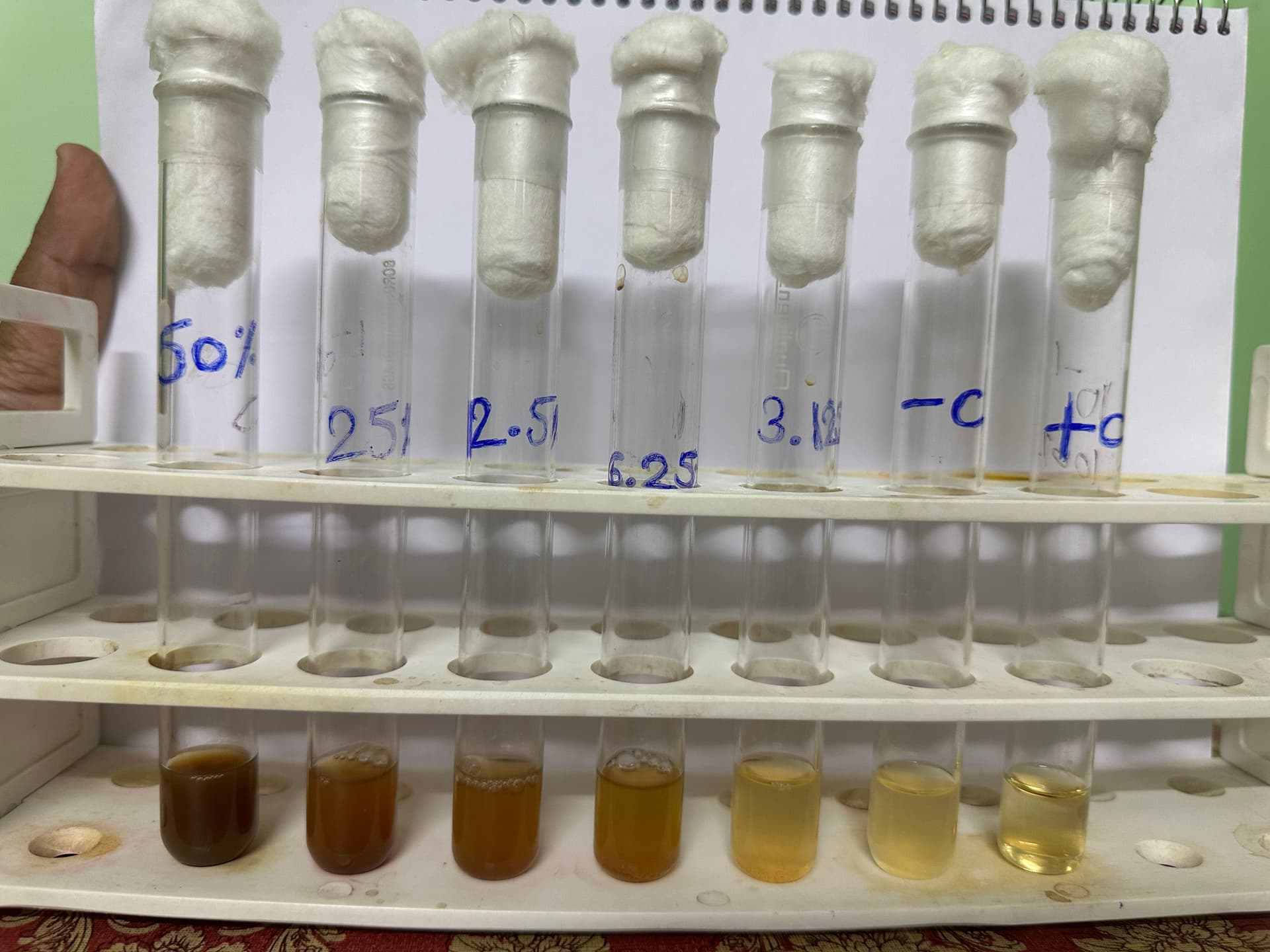 Multiple test tubes containing experimental plant growth media