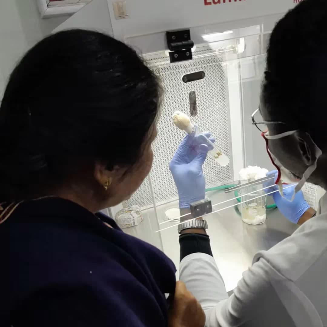 Two people in lab coats and gloves
