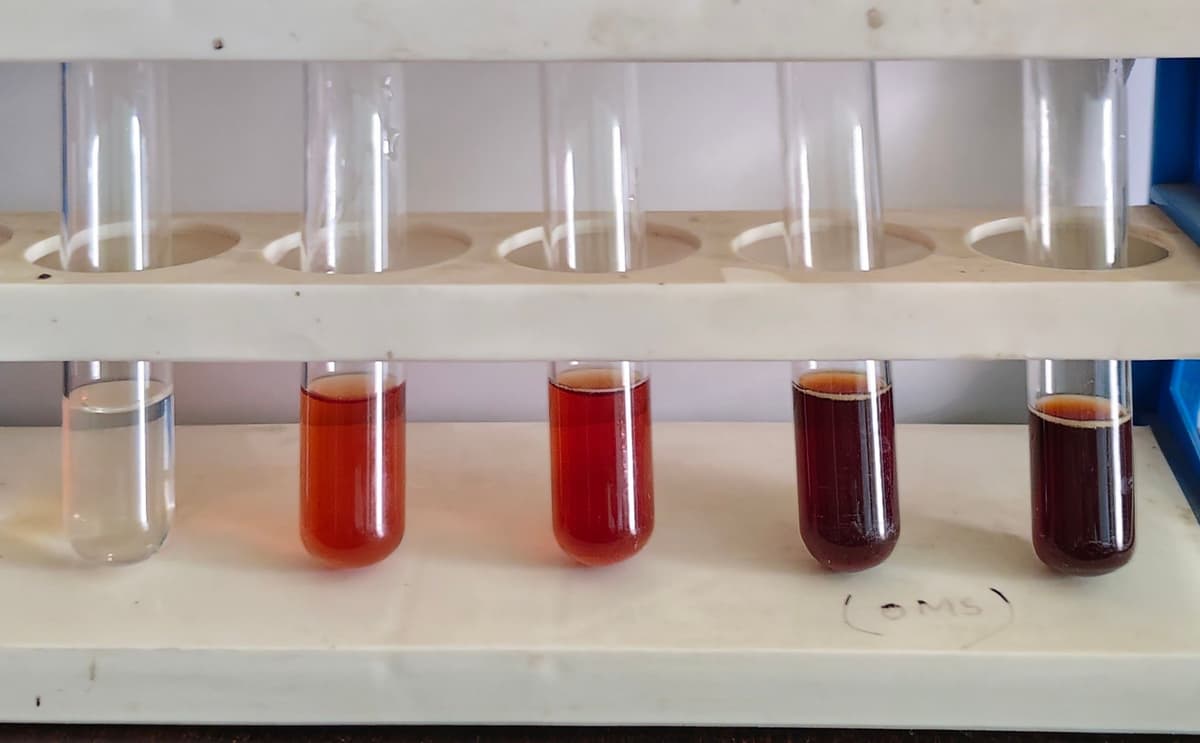 Illustration for Secondary Metabolite Analysis